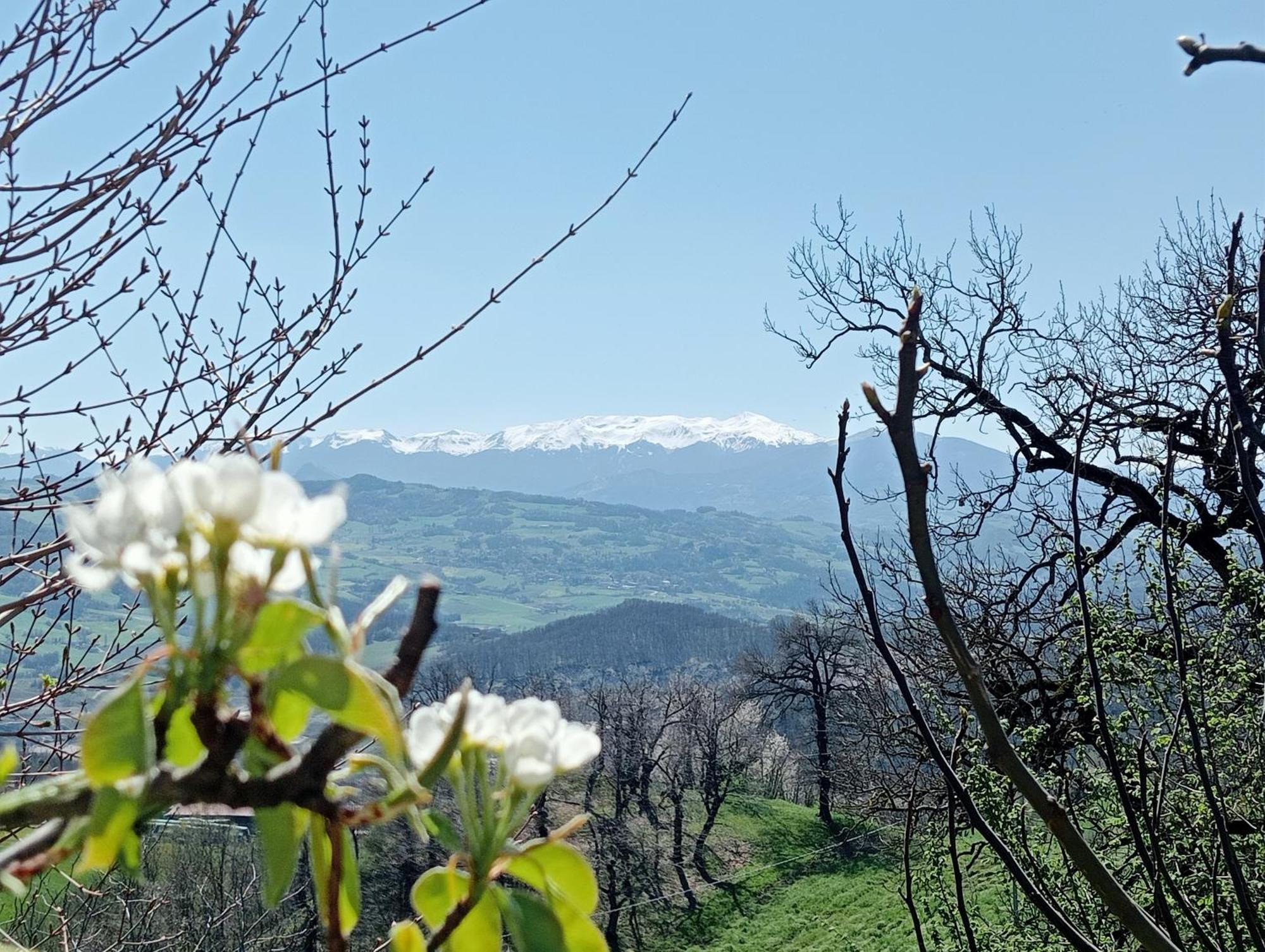 Casale Monte Valestra Bed & Breakfast Bebbio Exterior photo
